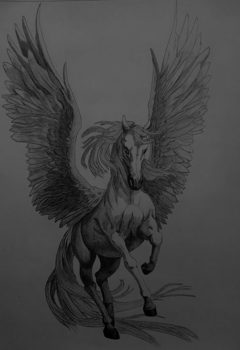 xavier acrux ⭑ zodiac academy Xavier Acrux Zodiac, Zodiac Academy Xavier, Graves Aesthetic, Pegasus Drawing, Pegasus Tattoo, Greek Monsters, Horse Tattoo Design, Heron Art, Unicorn Tattoos