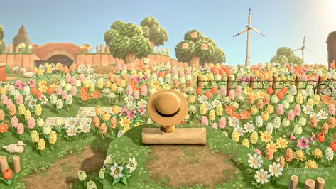 Flower Farm Acnh, Acnh Flower Fields, Animal Crossing Flower Field, Acnh Inspiration, Acnh Codes, Animal Crossing Wild World, Acnh Ideas, Vintage Cottagecore, New Animal Crossing