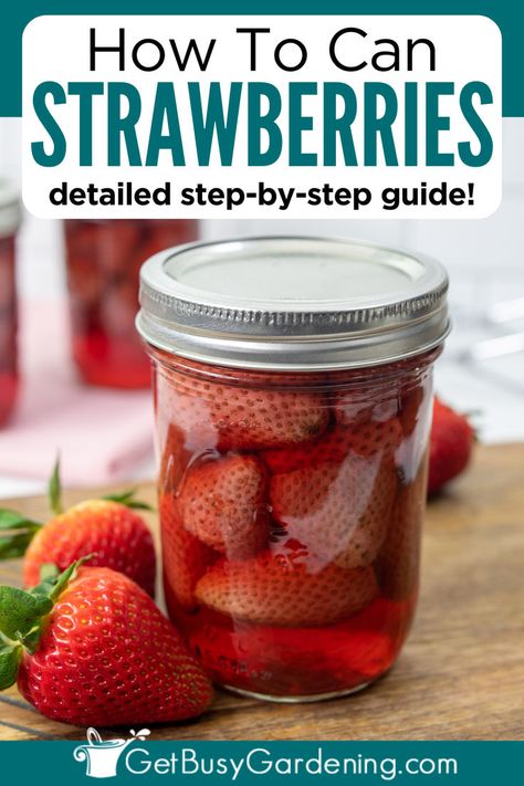 a mason jar with canned strawberries with fresh strawberries next to the jar How To Can Strawberries, How To Can Strawberry Jam, Can Strawberries, Strawberry Canning, Canning Strawberries, Garden Canning, Canned Strawberries, Strawberry Water, Canning Fruit