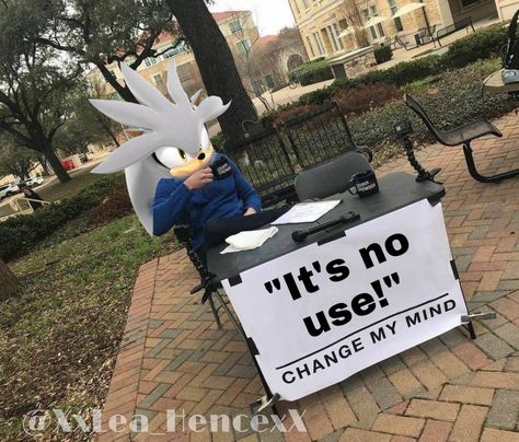 Funny Silver The Hedgehog, Silver The Hedgehog Memes, Hedgehog Meme, Funny Hedgehog, Silver The Hedgehog, Sonic Funny, Blue Hedgehog, Sonic 3, Hedgehog Art