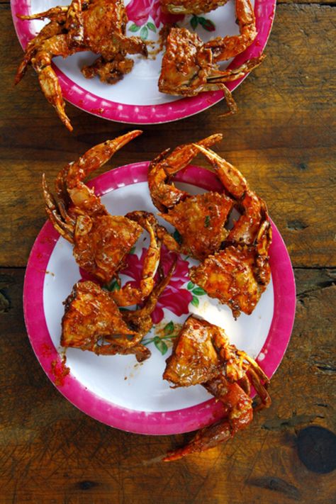 Pan-Fried Crabs in Chipotle Sauce (Jaibas Enchipotladas) Blue Crab Recipes, Mexican Appetizers, Crab And Lobster, Chipotle Sauce, Crab Recipes, Blue Crab, Fried Food, Seafood Dishes, Fish And Seafood