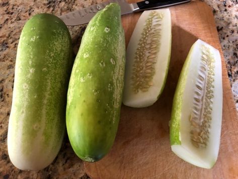 Large Cucumber Recipes, Yellow Cucumber Recipes, Garden Cucumber Recipes, What To Do With Big Cucumbers, Big Cucumber Recipes, Overripe Cucumber Recipes, Over Ripe Cucumber Recipes, Over Ripe Cucumbers What To Do With, What To Do With Large Cucumbers