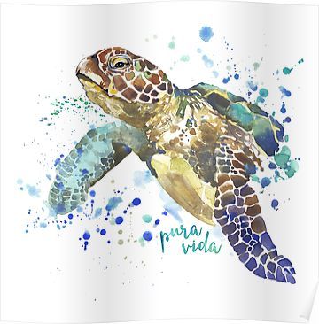 Sea Turtle Pura Vida Watercolor Poster Biological Illustration, Sea Turtle Watercolor, Sea Turtle Wall Art, Turtle Watercolor, Turtle Wall Art, Sea Turtle Art, Watercolour Texture Background, Illustration Board, Mermaid Painting