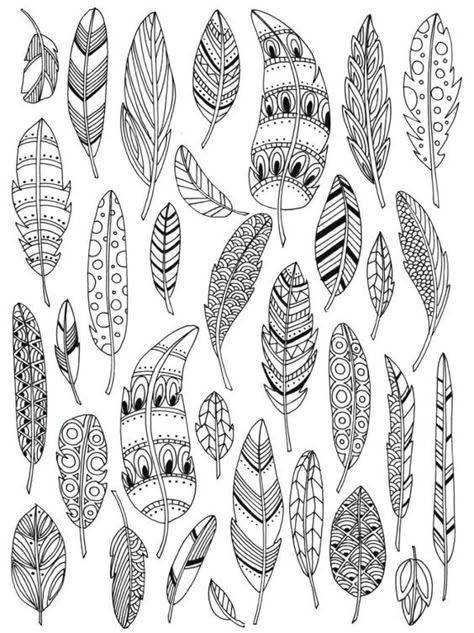 Feathers #adult #colouring Boho Feather Drawing, Feather Doodle Art, University Presentation, Portfolio Drawings, Creativity Illustration, Planner Doodles, Illustration Portfolio, Adult Colouring, Feather Art