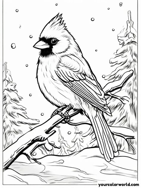 Discover our collection of free, high-quality Bird coloring pages! All pages are available for instant download and can be printed out for hours of creative fun. Whether you're at home or on the go, simply choose your favorite designs, print them, and start coloring today! Cardinal Coloring Pages, Drawing Birds, Bird Coloring, Winter Cardinal, Bird Coloring Pages, Cardinal Birds, Bear Art, Bird Drawings, Free Printable Coloring