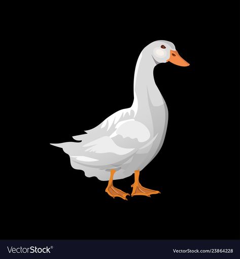 Duck Vector, White Duck, White Ducks, Black Background, Black Backgrounds, Png Images, The Black, Vector Images, Vector Free