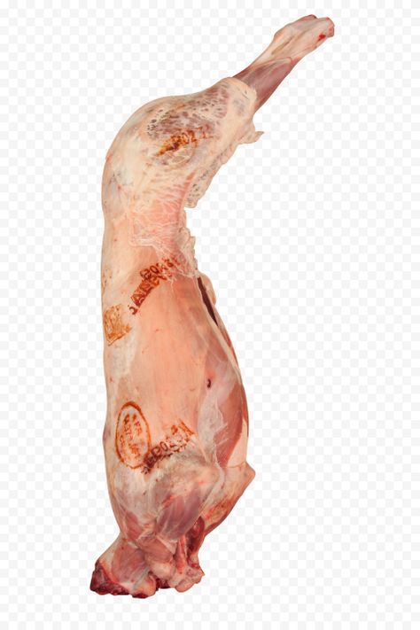 Meat Sheep, Mutton Meat, Original Background, Goat Meat, Food Png, Sheep And Lamb, Food Categories, No Background, Art Logo