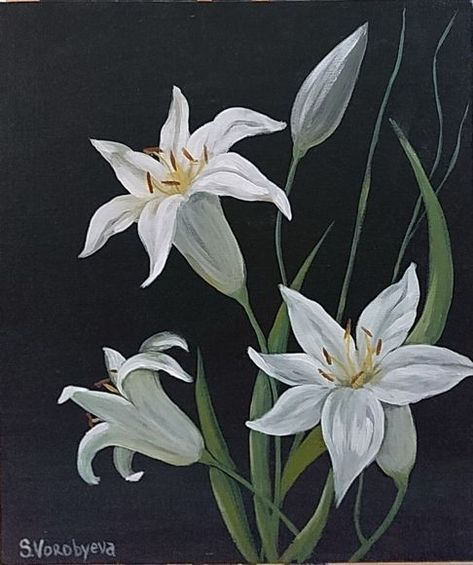 White Lily Painting Acrylic, White Lilies Painting, White Lily Drawing, Mums Painting, Metamorphosis Art, Lily Pictures, Lilies Drawing, Greece Painting, Cat Portrait Painting