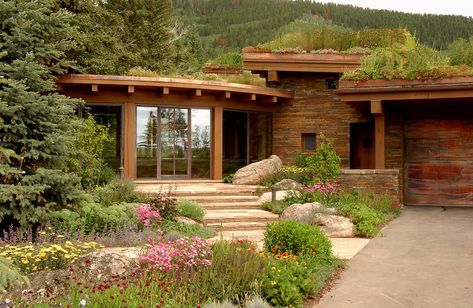 Watersong - Shepherd Resources Inc AIA Architecture Living Green Roof, Rustic Exterior, Living Roofs, Modern Mountain Home, Ski Town, Mountain Decor, Cedar Siding, Exterior Home, Luxe Interiors