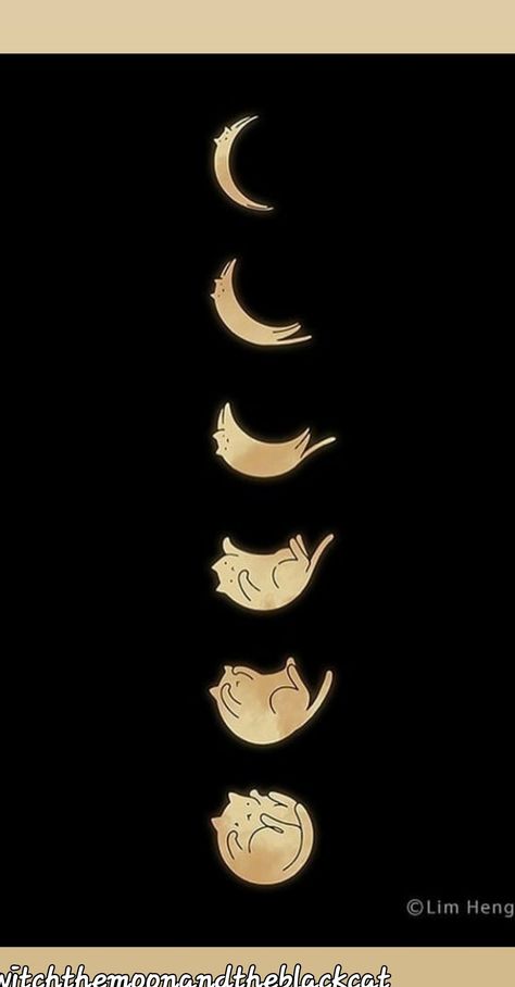 Kitty Moon Tattoo, Moon Phase Cat Tattoo, The Phases Of The Moon Tattoo, Flower Cycle Tattoo, Cat Moon Phases Tattoo, Asian Moon Tattoo, Human Life Cycle Art, Moon Phases With Stars Tattoo, Cat Sun And Moon Tattoo