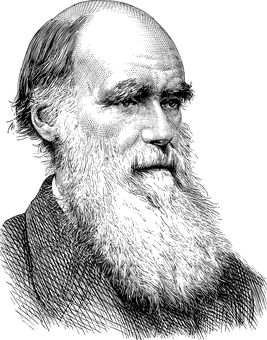 Charles Darwin Portrait, #Charles, #Portrait, #Darwin Charles Darwin, Creative Icon, Public Domain Images, Free Pictures, Science And Technology, Icon Design, Stock Images Free, Line Art, Male Sketch