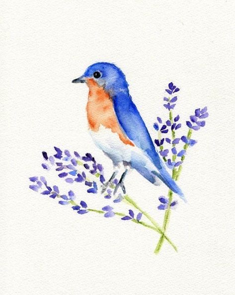 Cute Bird Watercolor, Watercolor Birds Easy, Watercolor Birds Paintings, Bluebird Watercolor, Bluebird Painting, Bird Painting Acrylic, Learn Watercolor Painting, York Pennsylvania, Bird Watercolor Paintings