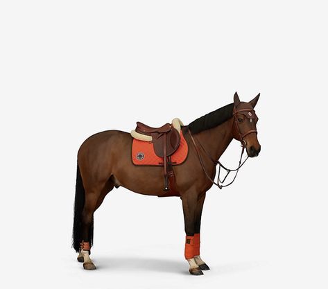 Hermès Equestrian Hermes Magazine, Hermes Equestrian, Hermes Sellier, Hermes Horse, Architecture Drawing Plan, Jumping Saddle, Dressage Saddle Pad, Dressage Saddle, Brown Horse