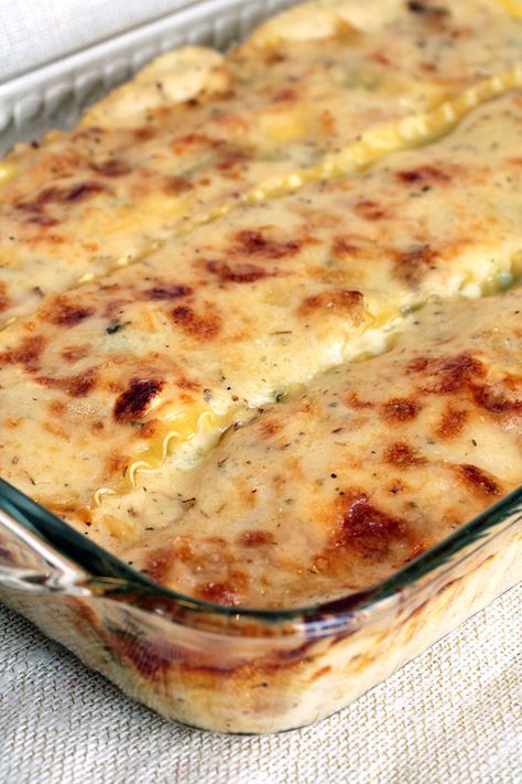 Creamy White Chicken Lasagna {Recipe} - CurlyCraftyMom.com White Chicken Lasagna Recipe, Lasagna Chicken, White Chicken Lasagna, Chicken Lasagna Recipe, White Lasagna, Chicken Alfredo Lasagna, Chicken Receipes, Chicken Casseroles, Family Dishes