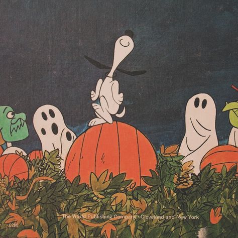 It’s the great pumpkin, Charlie Brown, 1966 🍂🎃🧡 . . . . . . #thegreatpumpkincharliebrown #thegreatpumpkin #igotarock #charliebrownhalloween #snoopy #vintagehalloween #halloween #halloweenaesthetic #vintageaesthetic #halloweenthrowback #nostalgia #nostalgichalloween #deargreatpumpkin The Great Pumpkin Charlie Brown, It's The Great Pumpkin Charlie Brown, I Got A Rock, Great Pumpkin Charlie Brown, It's The Great Pumpkin, Charlie Brown Halloween, The Great Pumpkin, Great Pumpkin, Hallows Eve