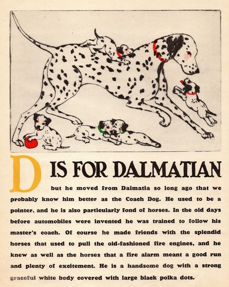 Vintage Dalmatian Illustration, Dalmatian Nursery, Cocker Spaniel Illustration, Dalmatian Illustration, Dalmatian Art, D Alphabet, Dalmation Print, Letter Illustration, Vintage Alphabet