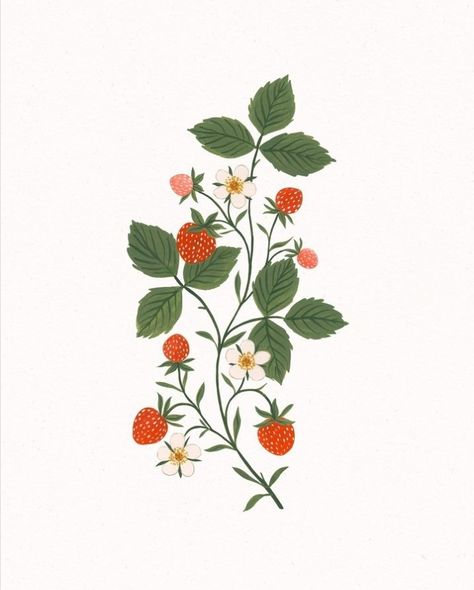 Wild Strawberry Botanical Illustration, Ornamental Flowers Drawing, Wild Strawberry Drawing, Doodles Cottagecore, Strawberry Drawing Aesthetic, Fashion Sketches For Beginners, Carved Mugs, Strawberry Doodle, Floral Illustration Art