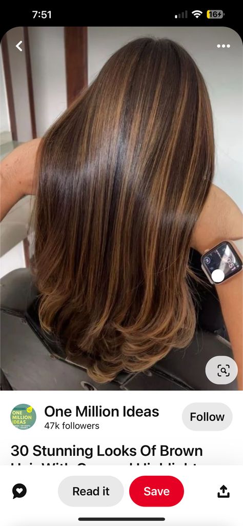 Mid Brown Hair With Caramel Highlights, Dark Brown Hair With Golden Highlights, Low Lights On Brown Hair Brunettes, Redish Brown Hair Color, Chocolate Brown Hair With Highlights, Redish Brown Hair, Brown Hair With Caramel Highlights, Course Hair, Black Hair Balayage