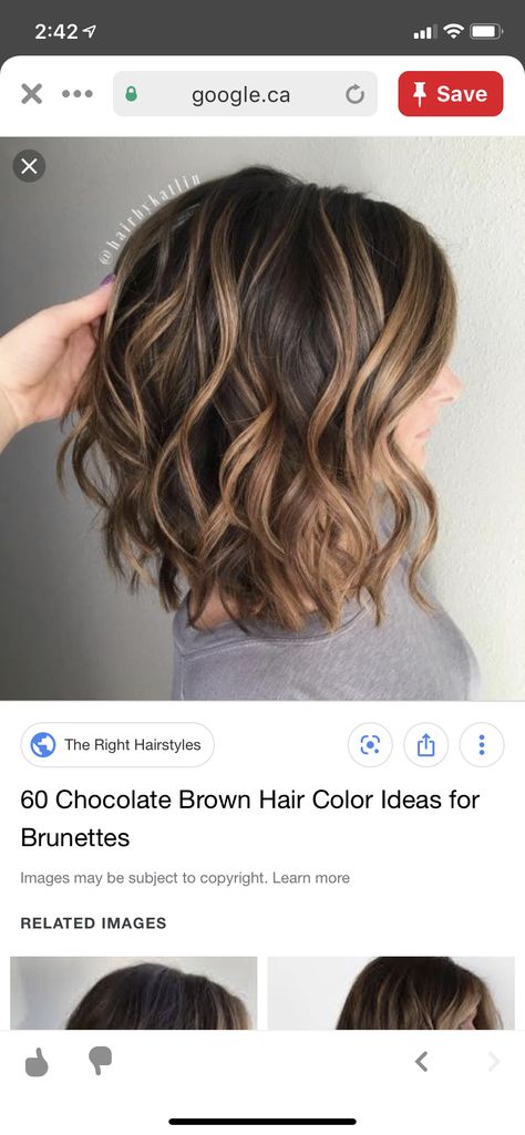 Tortoise Hair Color Brunette, Tortoise Shell Hair Color, Hair Color Brunette, Dark Brown Hair With Caramel Highlights, Brown Hair With Caramel Highlights, Chocolate Brown Hair Color, Tortoise Hair, Tortoise Shell Hair, Chocolate Brown Hair