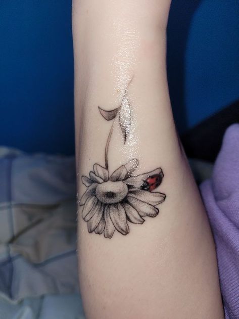 Ladybug Dragonfly Tattoo, Ladybug Tattoo Flower, Flower Tattoo With Ladybug, Ladybug Sunflower Tattoo, Ladybug And Dragonfly Tattoo, Flower And Ladybug Tattoo, Sunflower And Ladybug Tattoo, Ladybug On Flower Tattoo, Ladybug Flower Tattoo