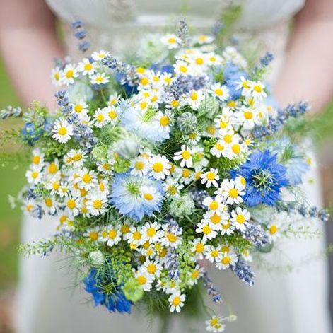 Wedding Themes Country, Blue And Yellow Bouquet, Daisy Wedding Theme, Daisy Bouquet Wedding, Botanica Wedding, Wildflower Wedding Bouquet, Yellow Bouquets, Blue Wedding Bouquet, Daisy Wedding