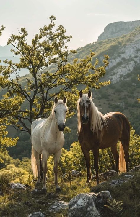 Animals As Humans, Wild Horse Pictures, Horse Artwork, Horse Wallpaper, Horse Aesthetic, As Humans, My Horse, Most Beautiful Horses, Disney Animals