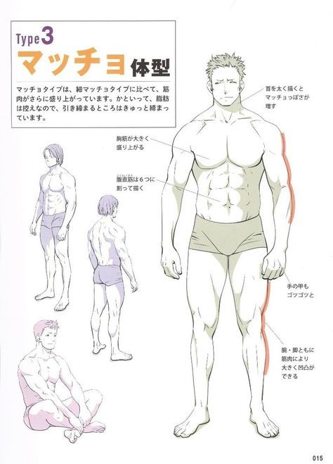 Sketches Model, Male Body Drawing, Drawing Male, Male Pose Reference, Body Sketches, Manga Drawing Tutorials, Anatomy Sketches, Different Poses, Body Reference Drawing