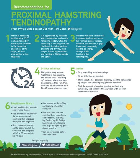 Proximal Hamstring Tendinopathy - exercise videos, infographic and podcast Deep Lunges, Neurological System, Yoga Routine For Beginners, Sports Therapy, Hamstring Stretch, Exercise Videos, Psoas Muscle, Cupping Therapy, Sports Injury