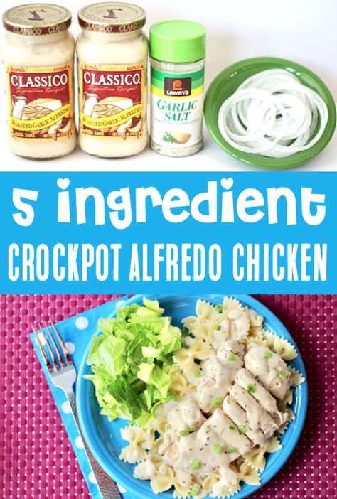 Crockpot Fettucini Alfredo Chicken Easy Recipes, Chicken Broccoli Alfredo Pasta Crockpot, Crock Pot Chicken Alfredo Recipes, Crockpot Chicken Alfredo Easy Jar, Crockpot Chicken Recipes Alfredo, Crockpot Chicken Fettuccine, Crock Pot Meals Easy 5 Ingredients, Crockpot Chicken Alfredo Easy Jar Sauce, Ragu Chicken Alfredo Recipes