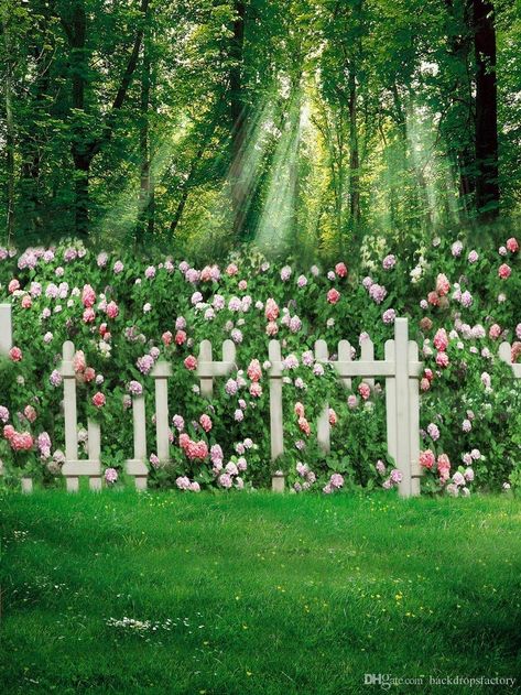 Jardin De Flores De Primavera Fondos Prado Verde Valla Blanca Telon De Fondo Floral Arboles Forestales Ninos Ninos Telones De Fondo Escenicos Garden Backdrop, Flower Backdrop, Photo Background, Fence, Roses, Nursery, Forest, Flowers, Photography