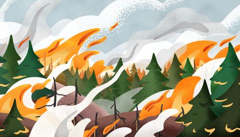 Draft California Fire Code Includes NIST Tool to Evaluate Wildfire Hazard | NIST Wildfire Illustration, California Wildfires, Perfect Storm, Fire Protection, Emergency Response, Forest Fire, Rolling Hills, Editorial Illustration, New Perspective