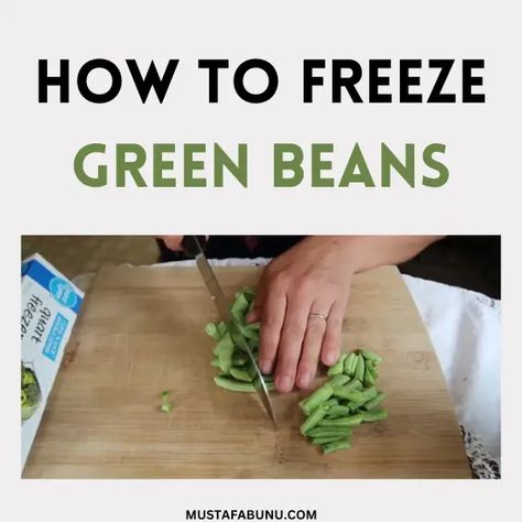 How To Freeze Green Beans – The Wisebaker Freeze Beans, Freezing Zucchini, Blanching Green Beans, Freeze Greens, Frozen Green Beans, Freezer Burn, Fresh Green Beans, Dessert Dips, Frozen Vegetables