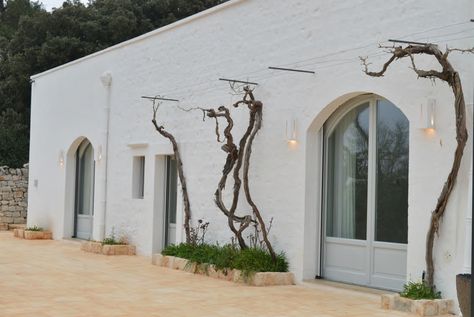 Prezzi quasi dimezzati dopo la crisi. In Valle d'Itria un buon investimento è acquistare abitazioni rurali da trasformare Puglia Masseria, Puglia Villa, Concrete Houses, Italian House, White Building, Property Design, Mediterranean Home, Traditional Architecture, Country Chic