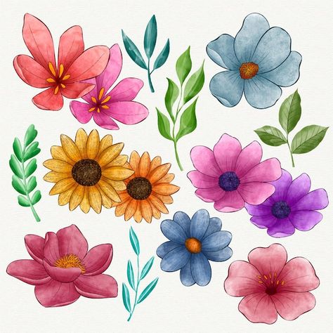 Free vector hand painted watercolor flow... | Free Vector #Freepik #freevector #flower-collection #hand-painted-flowers #flower-leaves #watercolor-botanical Clip Art Frames, Free Clipart Images, Cosmic Art, Drawing Flowers, Pop Art Comic, Hand Drawn Vector Illustrations, Floral Branch, Art Frames, Botanical Watercolor