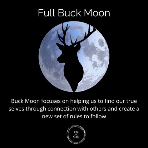 This month's full moon is also called Full Buck Moon. Are you ready to manifest your intentions? #FullMoon #BuckMoon #LifeofGaia #LifeofGaiaTribe #ASacredSpace Full Buck Moon, Moon Capricorn, Buck Moon, Moon Spells, Moon Full, Capricorn Moon, Happy July, Spell Book, Blue Moon