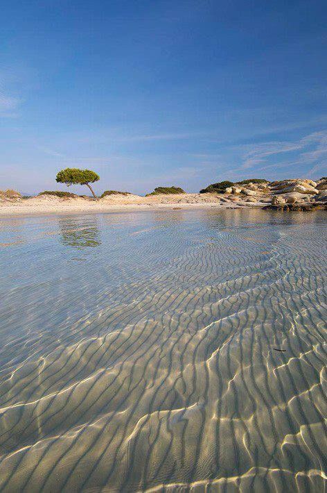 greece , sithonia chalkidiki , bourbourou!!! Greece Travel, Pretty Places, Places Around The World, Serbia, Wonderful Places, Vacation Spots, Dream Vacations, The Other Side, Beautiful Beaches