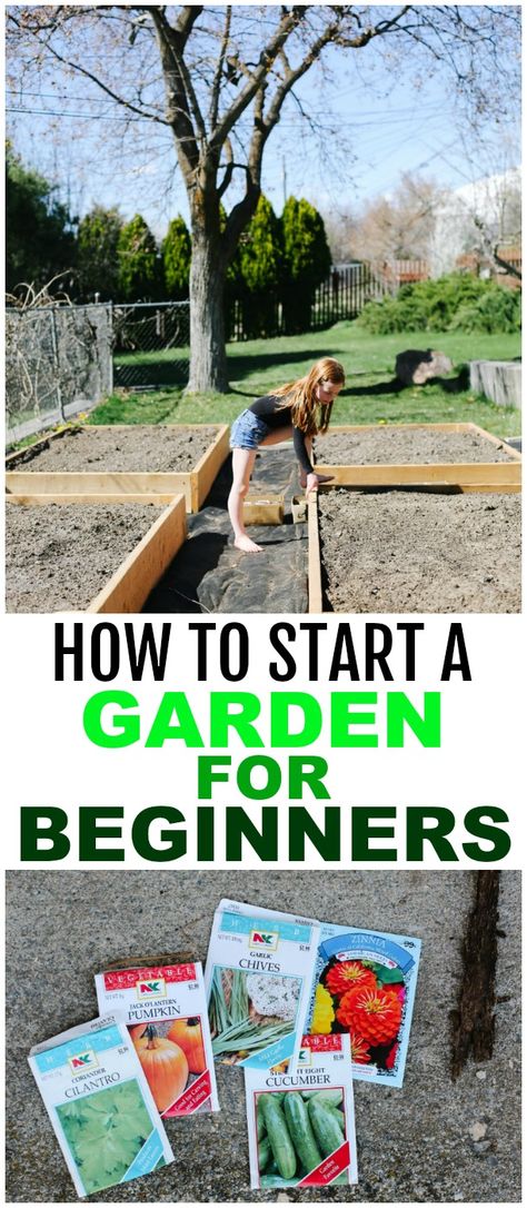 Easy Gardening Hacks, Starter Garden, Garden For Beginners, Start A Garden, Garden Boxes Diy, Backyard Garden Layout, Vegetable Garden For Beginners, Backyard Vegetable Gardens, Gardening 101