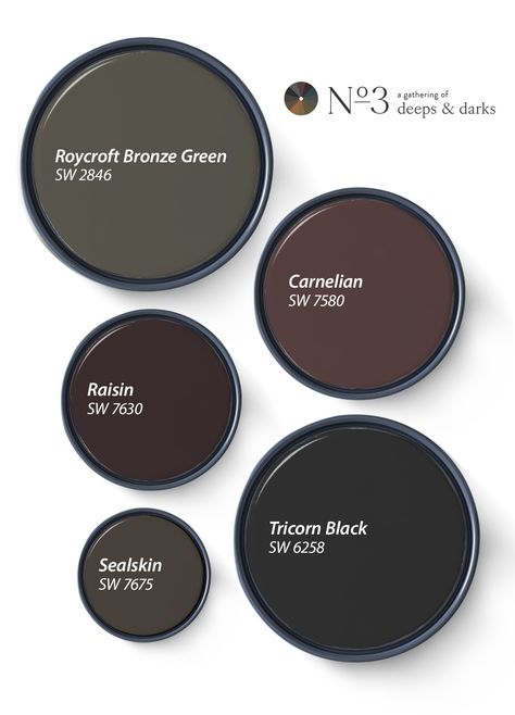 Our Favorite Deeps and Darks of 2024 | Tinted Dark Clove Sherwin Williams Paint, Sherwin Williams Dark Bedroom Colors, Bathroom Dark Paint Colors, Moody Home Paint Colors, Juniper Berry Paint Color, Moody Bathroom Paint Colors Sherwin Williams, Witchy Wall Colors, Black Bedroom Paint Colors, Dark Moody Paint Colors Sherwin Williams