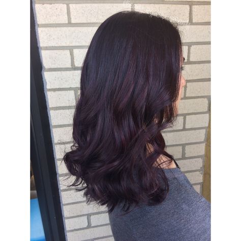 Violet Brown Hair Color Brunettes, Dark Violet Balayage, Dark Violet Hair Brown Deep Purple, Dark Brown Hair With Violet Undertone, Brown Hair With Violet Highlights, Dark Brown Violet Hair, Dark Brown Hair With Purple Tint, Dark Purple Brown Hair, Brown Violet Hair