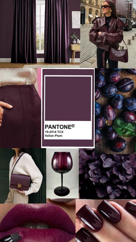 Plum Color Palette, Deep Winter Palette, Colour Combinations Fashion, Winter Color Palette, Deep Autumn, Color Trends Fashion, Dark Autumn, Fall Leggings, Autumn Winter 2024