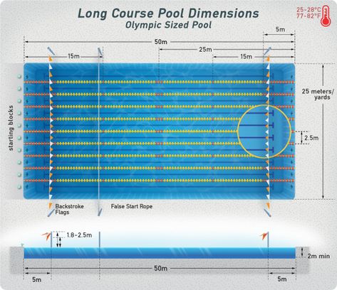 Swimming Pool Dimensions Swimming Pool Dimensions Standard, Swimming Pool Olympic, Pool Sizes Inground, Plumbing Installation Plan, Swimming Pool Drawing, Swimming Pool Dimensions, Pool Dimensions, Olympic Swimming Pool, Olympic Size Swimming Pool