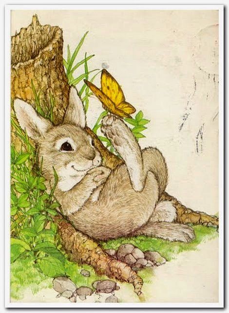 Beatrix Potter Illustrations, 동화 삽화, Bunny Painting, Rabbit Illustration, Theme Pictures, Storybook Art, Rabbit Rabbit, One Way Or Another, Small Drawings