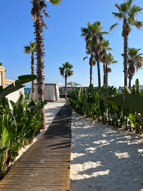 a picture of the seaside of a hotel in Antalya/ Turkey called Regnum Carya with beautiful palm trees and white sand Antalya Turkey Beach, Turkey Resorts, Summer Places, Turkey Summer, Turkey Beach, Golden Coast, City Island, Antalya Turkey, Travel Locations