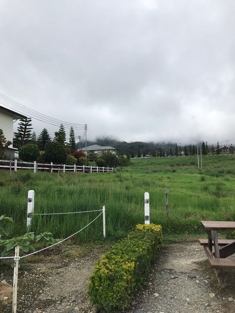 Kundasang Sabah View, Kundasang Sabah, Aesthetic Farm, Farm Wallpaper, Farm Aesthetic, Sabah Malaysia, Banana Pancake, 2024 Board, Dairy Farm