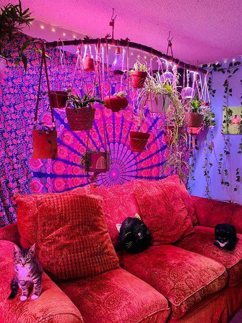 Trippy Plant Room Aesthetic, Ally Nicole House, Couch In Room Aesthetic, Sesh Room Ideas, Trippy Home Decor, Sesh Shed Ideas, Hippy Living Room, Trippy Living Room, Hippie Living Room Ideas