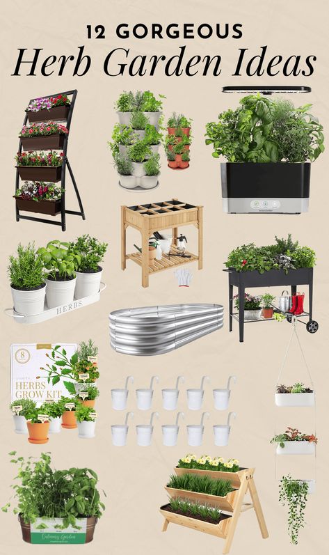 Herb garden ideas Diy Herb Garden Outdoor Small Spaces, Townhome Kitchen, Medicinal Gardening, Backyard Herb Garden, Windowsill Herb Garden, Herb Garden Ideas, Herb Garden Pots, Hanging Herb Garden, Indoor Plant Wall