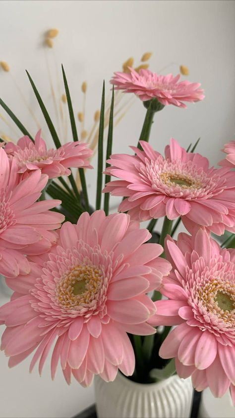 Travel Aesthetic Wallpaper, Gerbera Flower, Pink Gerbera, Vintage Flowers Wallpaper, Nothing But Flowers, Flower Therapy, Gerbera Daisy, Arte Floral, Flower Lover