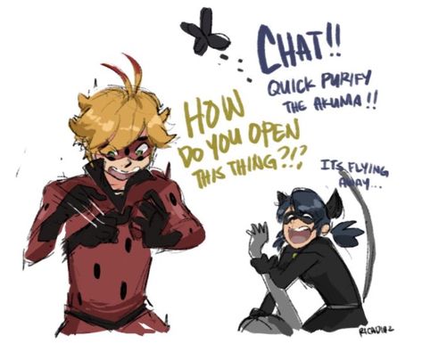 Mlb Role Swap, Kwami Swap, Red Tips, Ladybug And Cat Noir, Catty Noir, Miraculous Ladybug Memes, Miraculous Ladybug Fanfiction, Adrien Agreste, Miraculous Ladybug Fan Art