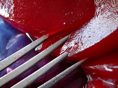 How to Remold Jellied Cranberry Sauce | eHow.com Cranberry Benefits, Canned Cranberries, Cranberry Jelly, Jellied Cranberry Sauce, Canned Cranberry Sauce, Homemade Carrot Cake, Cranberry Orange Bread, Leftover Cranberry Sauce, Dessert Spread