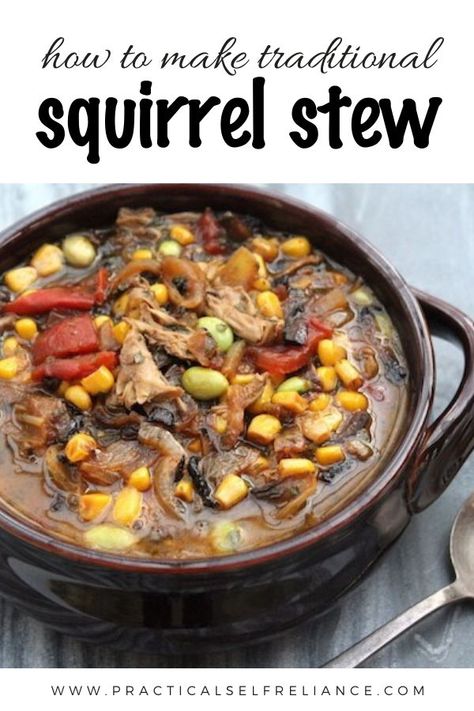 Traditional Brunswick stew is made with small game, namely squirrel or opossum.  Since they don’t generally sell squirrel meat at the grocery store, these days most recipes substitute dark meat chicken instead.  In truth, most people do have access to squirrel.  The hitch comes in turning a squirrel into squirrel meat. #hunting #smallgame #meateater Squirrel Stew, Dark Meat Chicken, Squirrel Food, Brunswick Stew, Easy Meat Recipes, Wild Game Recipes, Venison Recipes, Dumpling Recipe, Stew Recipe